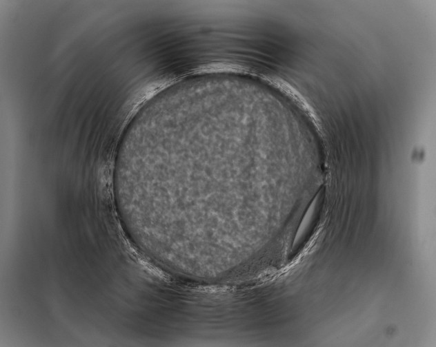 X0000097920937200804041521