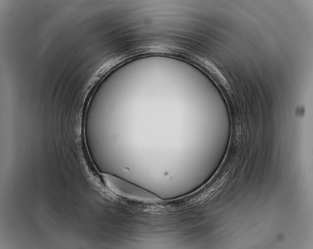 X0000097920938200804041521