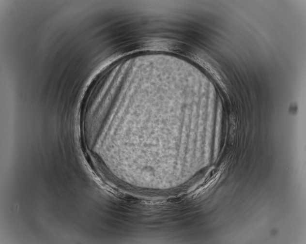 X0000097920939200804041521