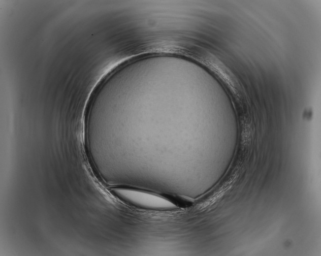 X0000097920940200804041521