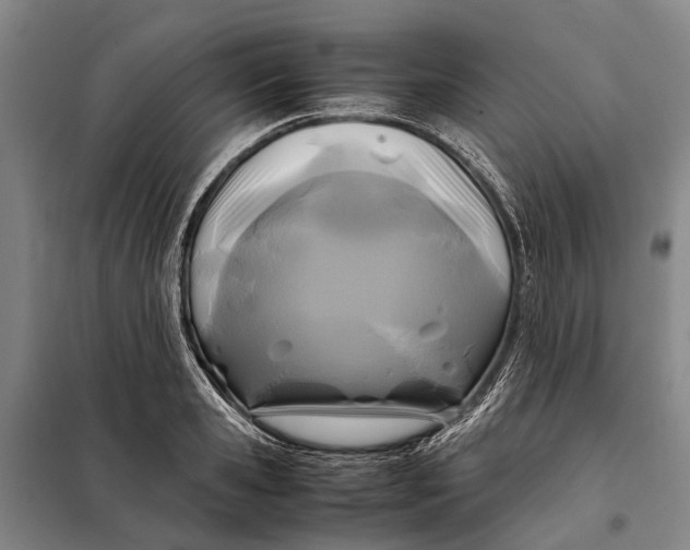 X0000097920941200804041521