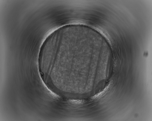 X0000097920943200804041521