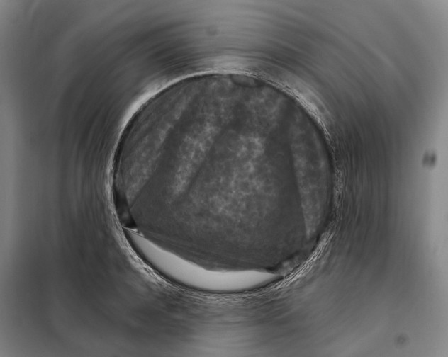 X0000097920944200804041521