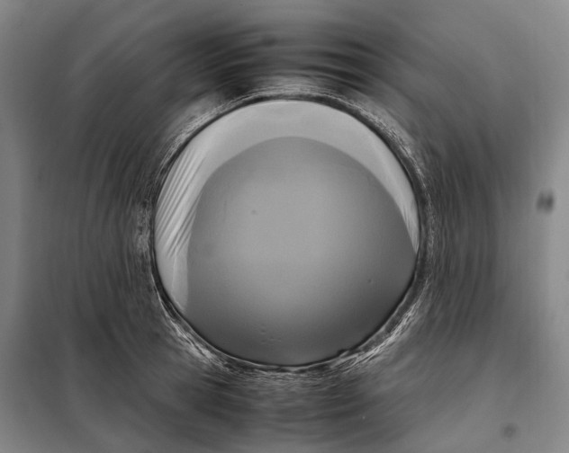 X0000097920945200804041521