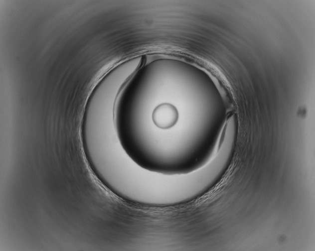 X0000097920946200804041521