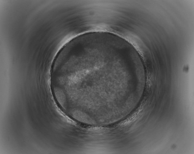 X0000097920950200804041521