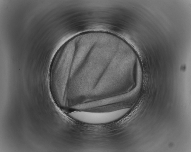 X0000097920951200804041521