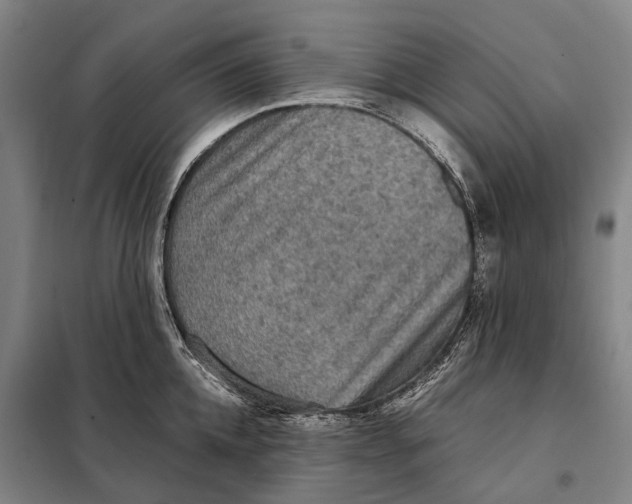 X0000097920952200804041521