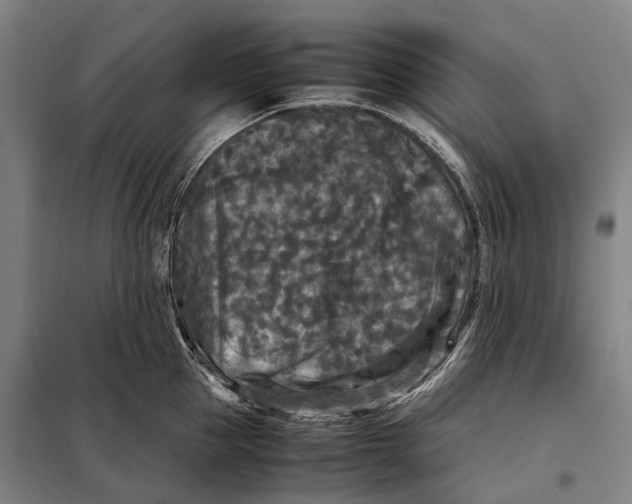 X0000097920953200804041521