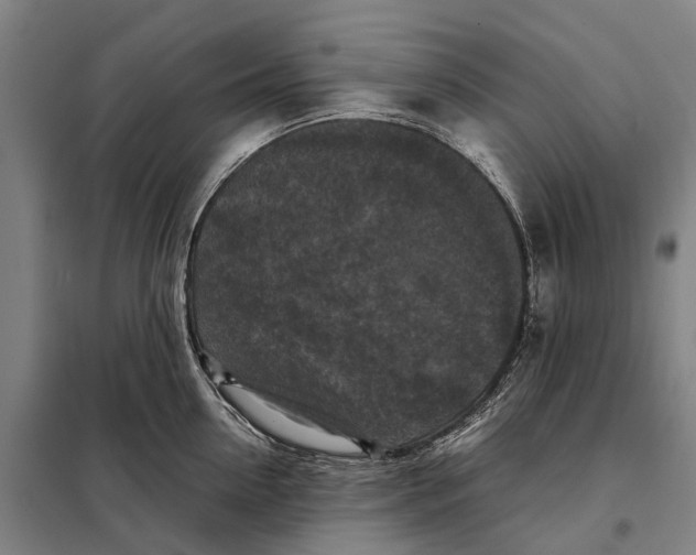 X0000097920954200804041521