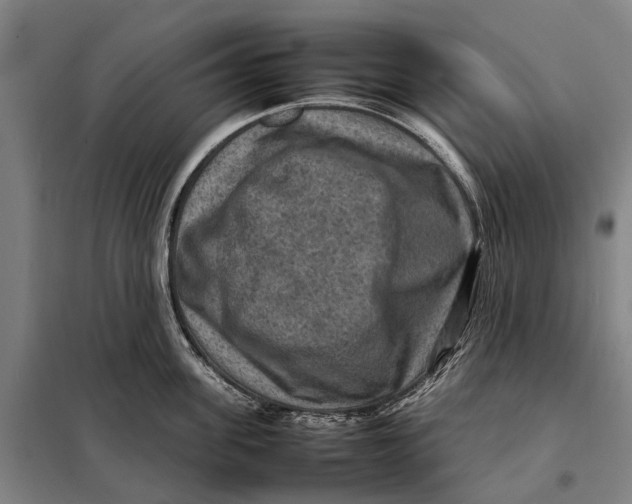 X0000097920955200804041521