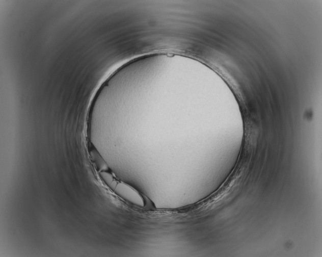 X0000097920956200804041521