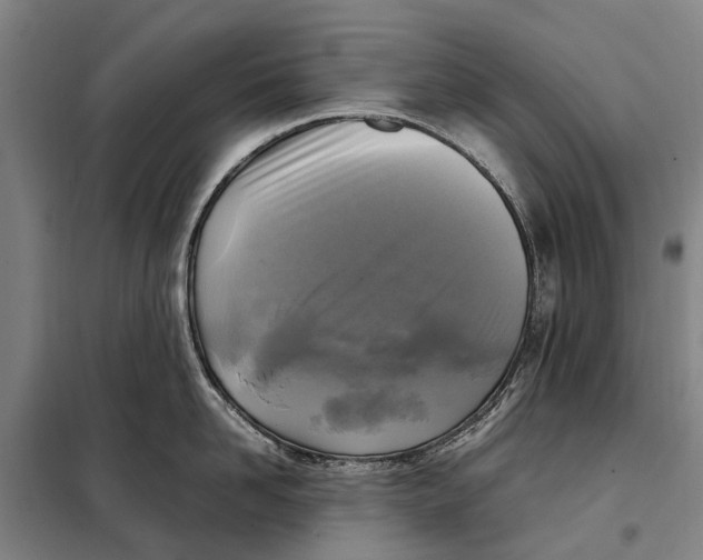 X0000097920958200804041521