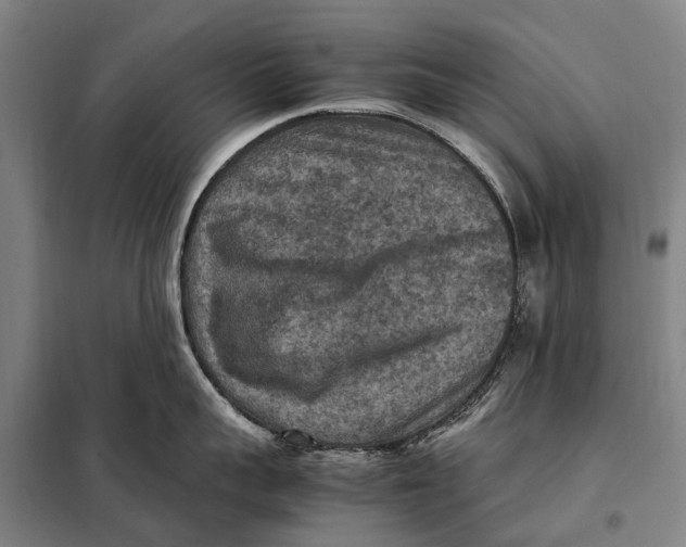 X0000097920959200804041521