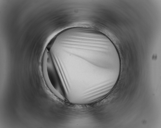 X0000097920960200804041521