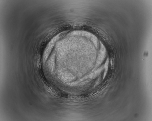 X0000097920963200804041520