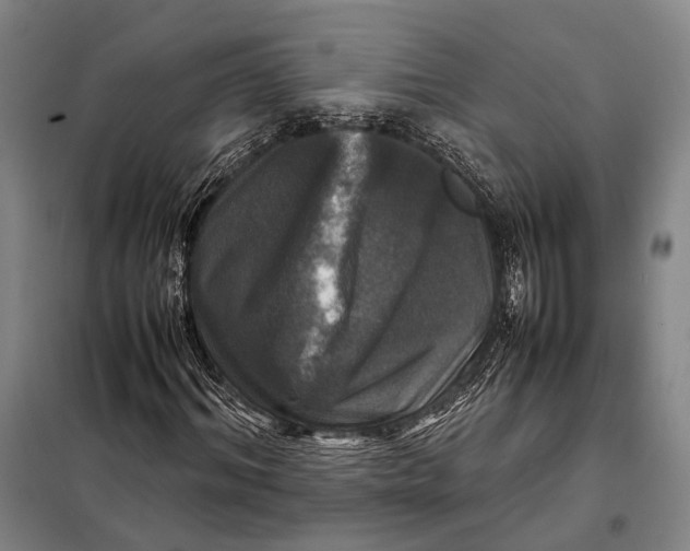 X0000097920964200804041520