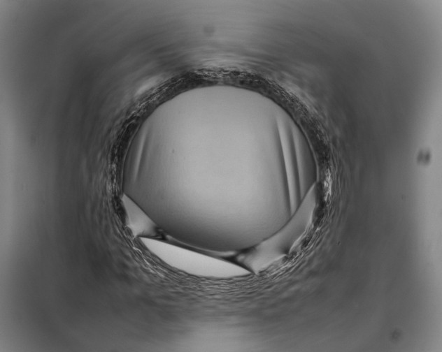 X0000097920965200804041520