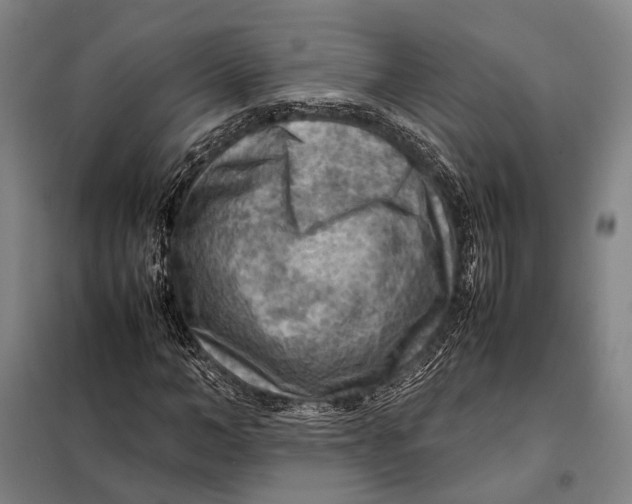 X0000097920966200804041520