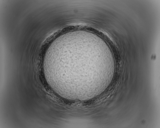 X0000097920967200804041520