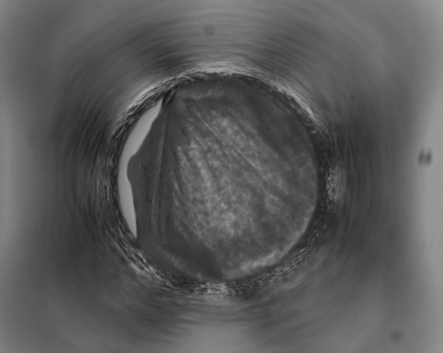 X0000097920968200804041520