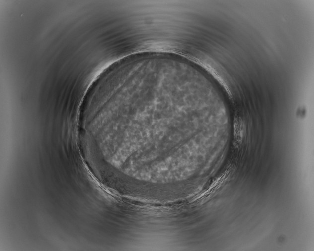 X0000097920972200804041520