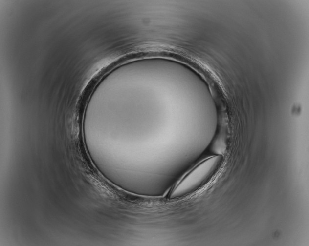 X0000097920973200804041520