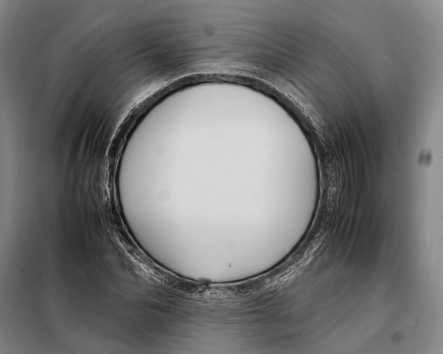 X0000097920974200804041520