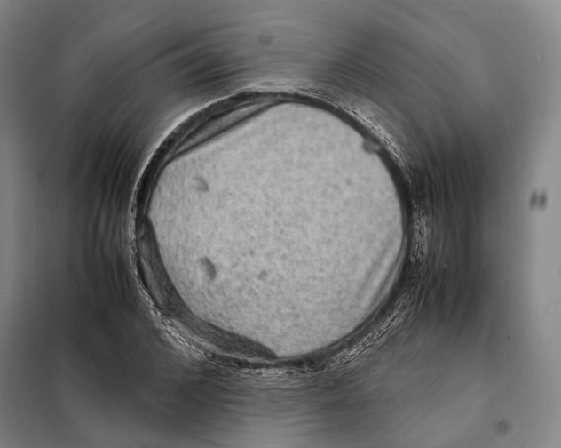 X0000097920976200804041520