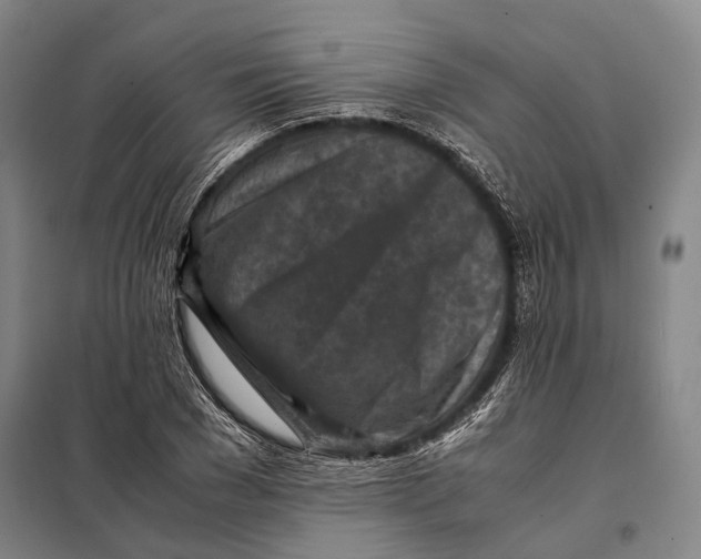 X0000097920977200804041520