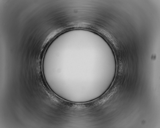 X0000097920978200804041520