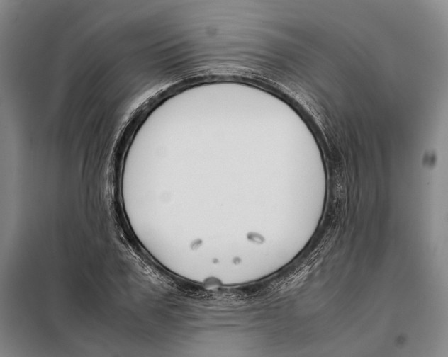 X0000097920979200804041520