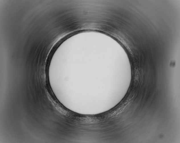 X0000097920980200804041520