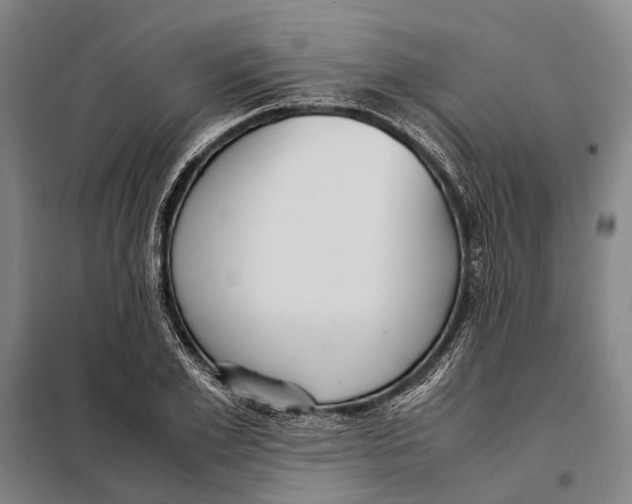 X0000097920981200804041520