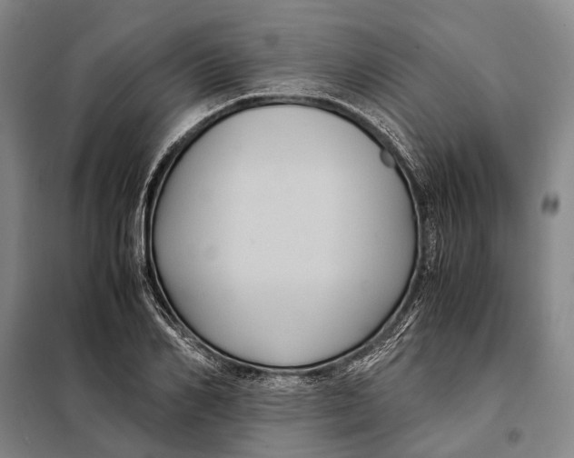 X0000097920982200804041520