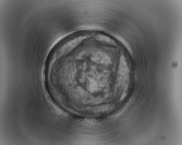 X0000097920983200804041520