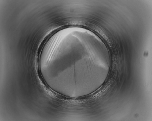 X0000097920984200804041520