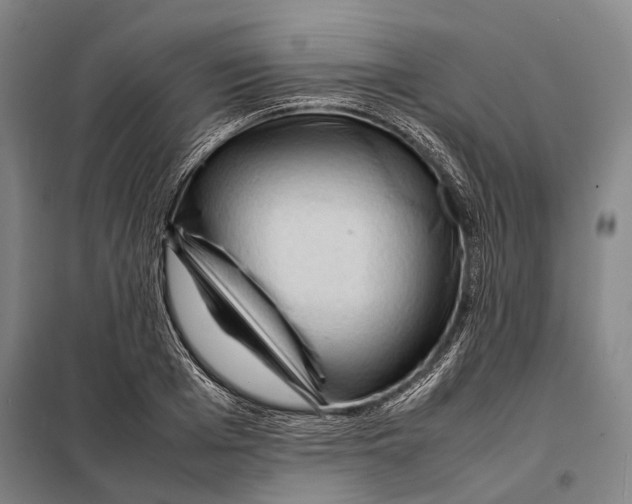 X0000097920985200804041520