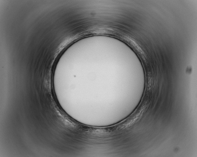 X0000097920986200804041520