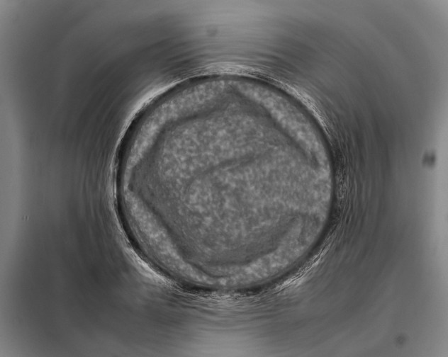 X0000097920987200804041520