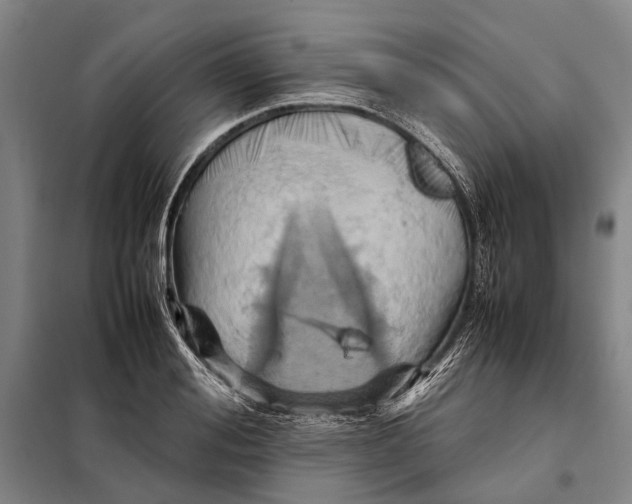 X0000097920988200804041520