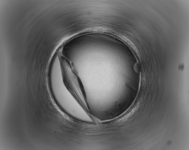 X0000097920989200804041520