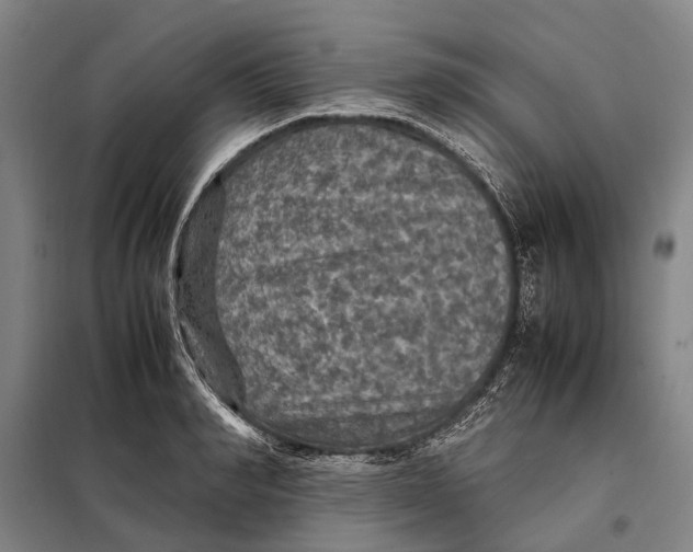 X0000097920990200804041520