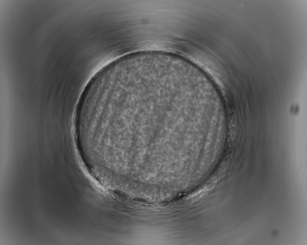 X0000097920991200804041520