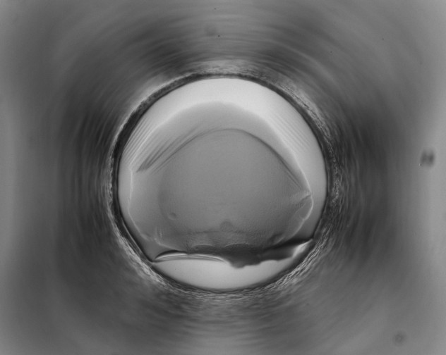 X0000097920992200804041520