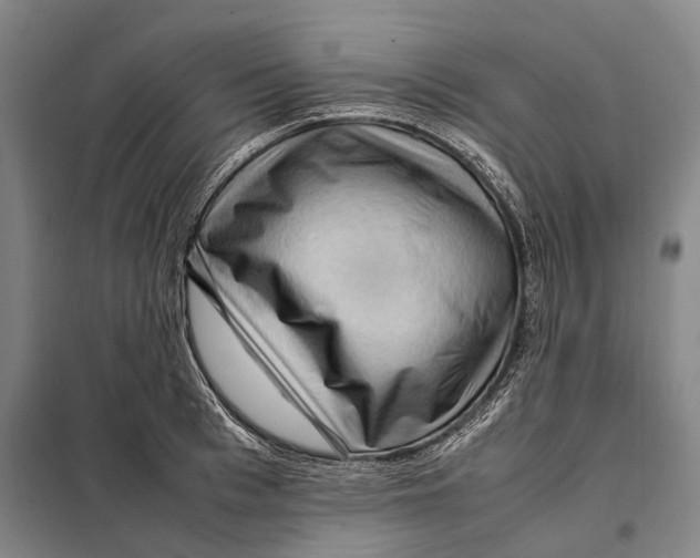 X0000097920993200804041520