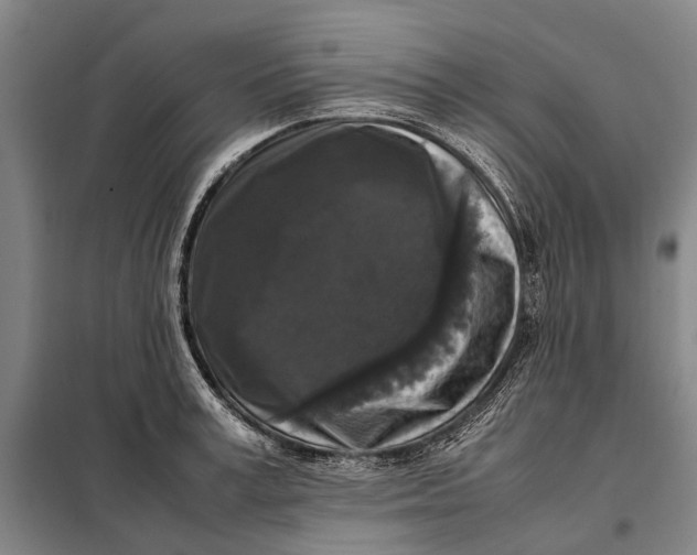 X0000097920995200804041520