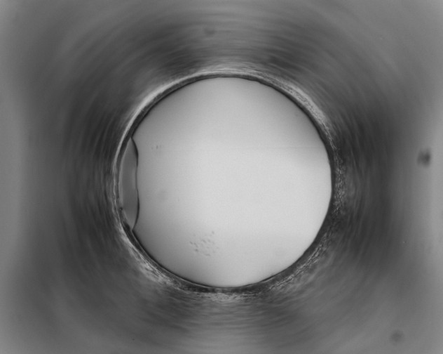 X0000097920996200804041520