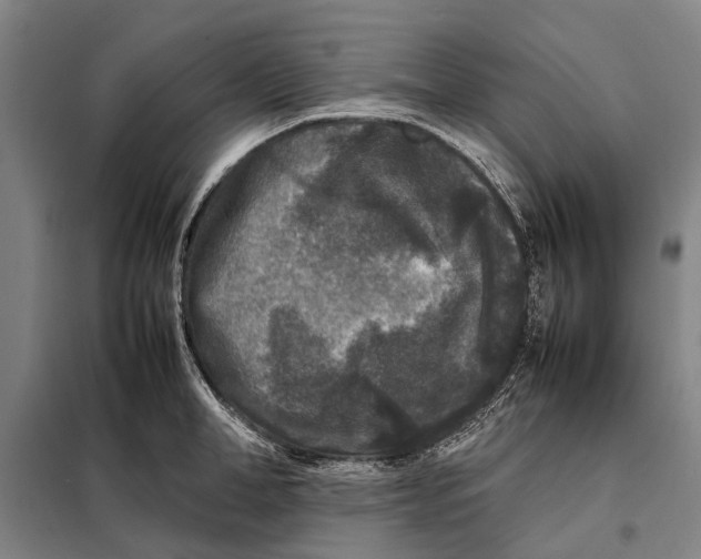 X0000097920998200804041520