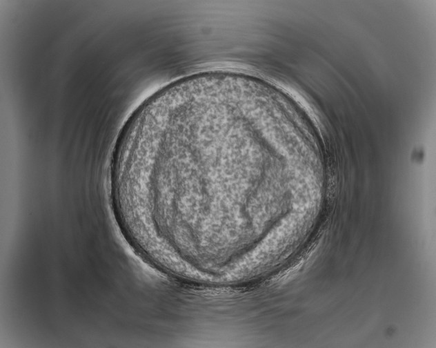 X0000097920999200804041520